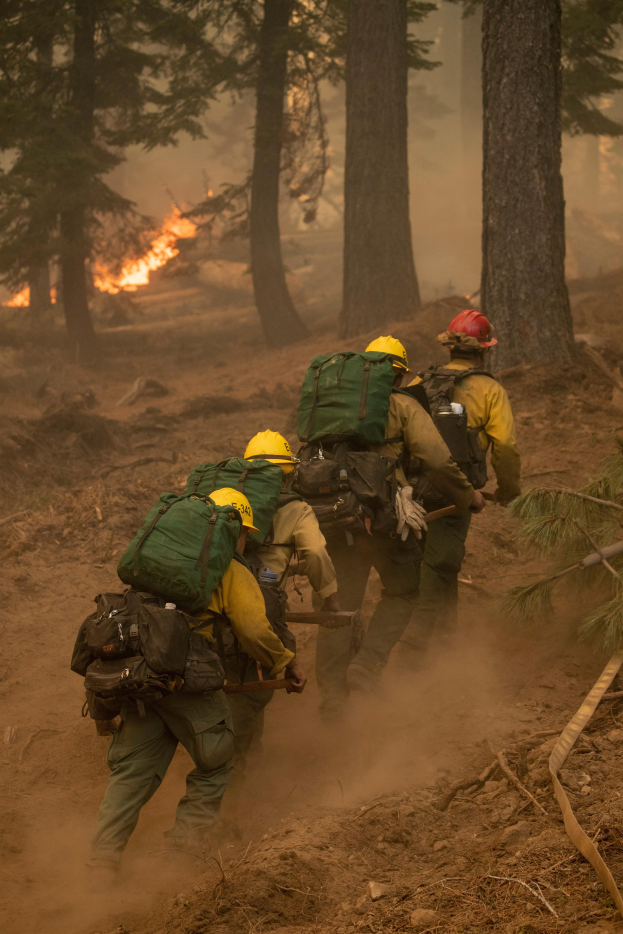Eine Gruppe von Feuerwehrmönnen in Helmen und Rucksöcken geht durch einen Wald, mit einem Feuer in der Ferne.