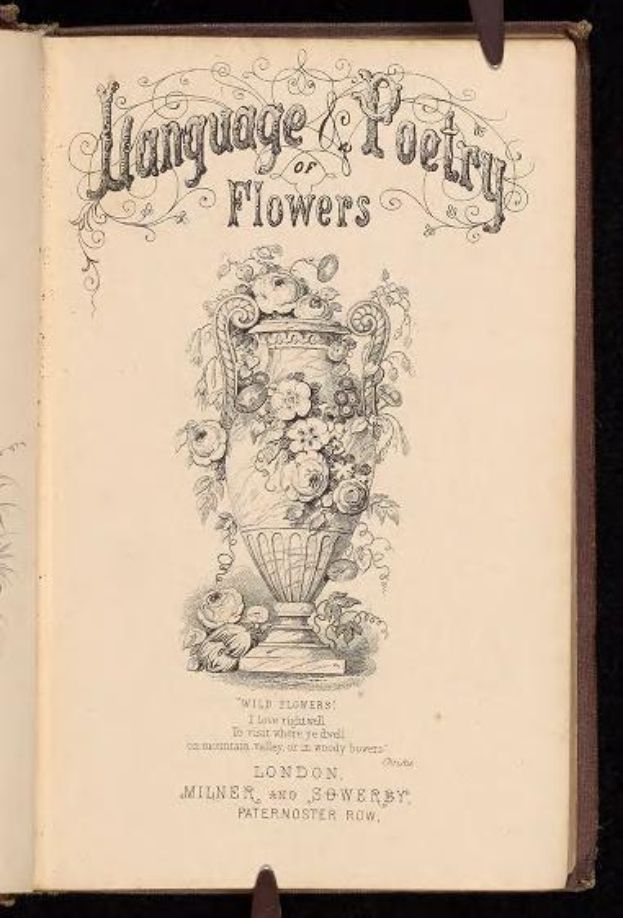 Offenes Buch mit dem Titel "Sprache und Poesie der Blumen" (1867) von Milner und Sowerby, das eine Vase-Illustration mit Blumen zeigt.