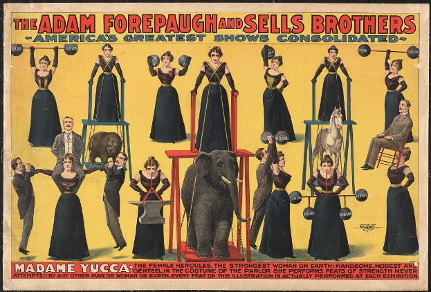 Plakat für das Adam Forepaugh und Sells Brothers Circus mit Performern auf Hockern und einem Elefanten in der Mitte mit Text.