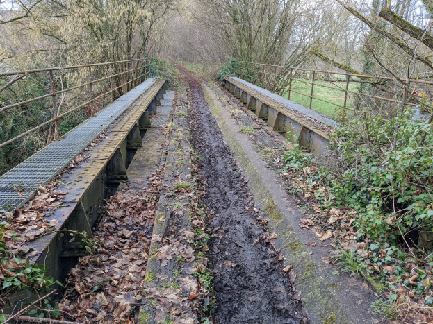 Eine alte Eisenbahnbrücke in einem Wald mit Geländern auf beiden Seiten, trockene Blätter auf dem Boden, Bäume und einen klaren blauen Himmel im Hintergrund.