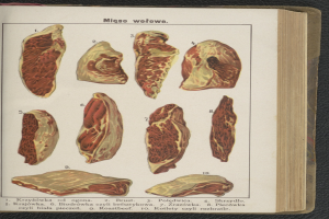Offenes Buch mit detaillierten Bildern und Texten über verschiedene Fleischsorten, die auf einer schwarzen Oberfläche dargestellt sind.