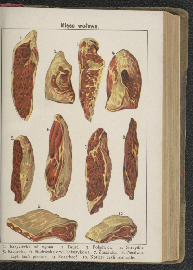 Offenes Buch mit detaillierten Bildern und Texten über verschiedene Fleischsorten, die auf einer schwarzen Oberfläche dargestellt sind.