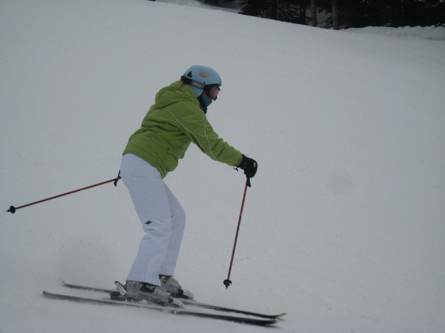Eine Person fährt Ski eine schneebedeckte Piste hinunter, umgeben von vielen Bäumen.