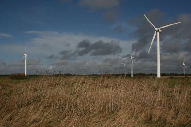 Ein Feld von Windkraftanlagen auf einer grasbewachsenen Fläche mit Bäumen im Hintergrund und Wolken am Himmel, mit Text, der auf einen Windpark in den Niederlanden hinweist.