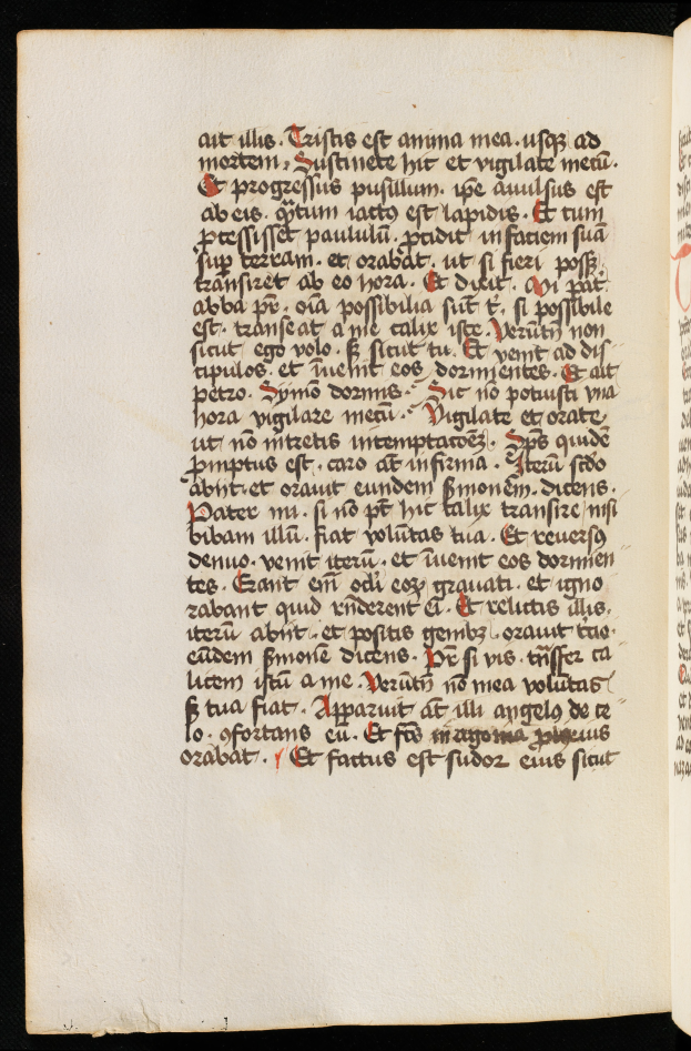 Ein aufgeschlagenes Buch, das eine mittelalterliche Manuskriptseite mit rotem und schwarzem Text auf einem schwarzen Hintergrund zeigt, mit detaillierten Elementen und leuchtenden Farben.