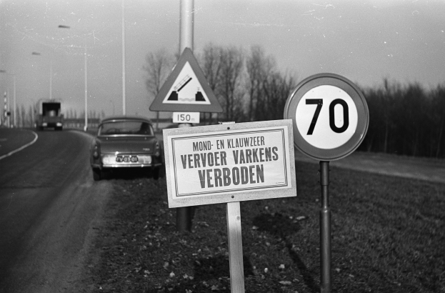 Schwarzes und weißes Foto eines Tempolimitschildes am Rande einer Stra├če mit einem vorbeifahrenden Auto, B├Ąumen, Masten und einem klaren Himmel im Hintergrund.