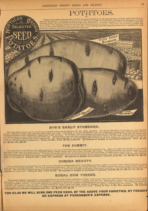 Eine alte Werbung mit einem Bild von einer Kartoffel und Text, der eine Kartoffelpflanze und ihre Zutaten beschreibt.