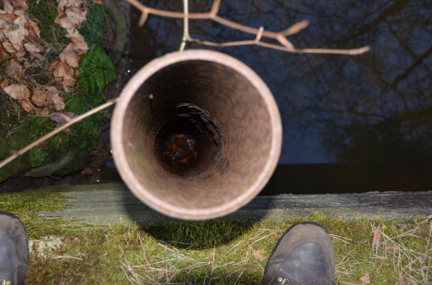 Eine Pipeline verl├Ąuft durch eine gr├╝ne Area mit B├Ąumen und Zweigen, die ├╝berall verstreut sind, mit einem Paar Schuhe in der N├Ąhe, unter einem klaren Himmel.