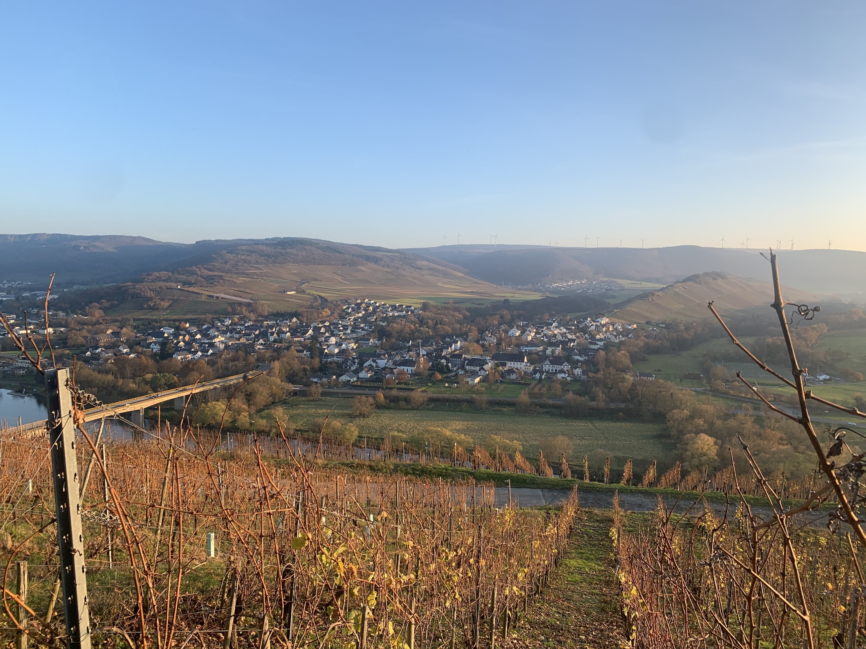 Ein malerischer Blick auf das Rheintal von einem Hügel aus, mit grünen Blättern, Häusern und einer Brücke, die den Fluss überspannt, vor einem blauen Himmel und sanften Hügeln.