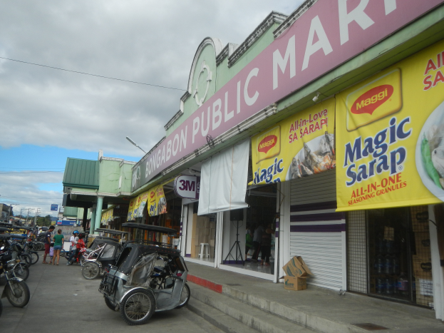Eine belebte Stadtstraße mit parkenden Fahrzeugen, Fußgängern, Gebäuden, Strommasten, Bäumen und einem bewölkten Himmel, mit einem Geschäft im Vordergrund, das ein "Bongabon Public Market"-Schild trägt.