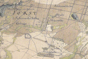 Detailierte alte Karte von Forst, Deutschland, zeigt Straßen, Gebäude und Sehenswürdigkeiten mit Textanmerkungen.