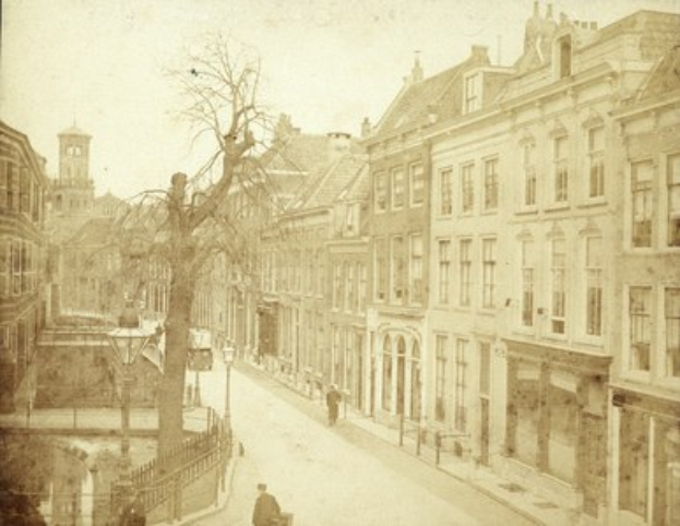 Altes Schwarz-Weiß-Foto einer Stadtstraße mit Gebäuden, Straßenlaternen, Lampen, geparkten Autos, Fußgängern auf dem Gehweg, Geländern, Bäumen und Himmel, mit einem prominenten zentralen Baum.