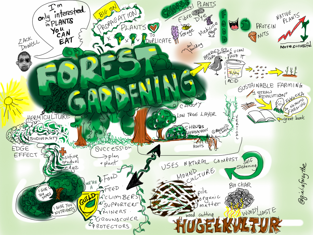 Ein Plakat mit einem üppigen grünen Baum mit verschiedenen Blättern und Ästen, auf dem in fetter Schrift "Waldgärtnern" steht.