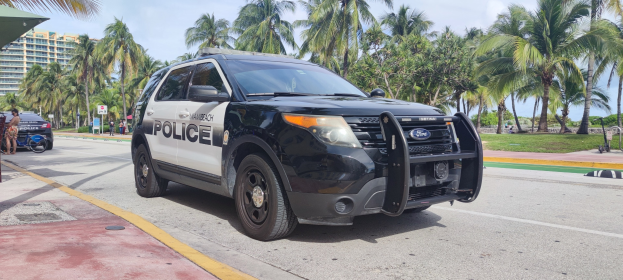 Polizeiauto auf dem Seitenstreifen mit Menschen, Fahrr√°dern, Gras, Bäumen, Gebäuden und einem klaren blauen Himmel im Hintergrund.