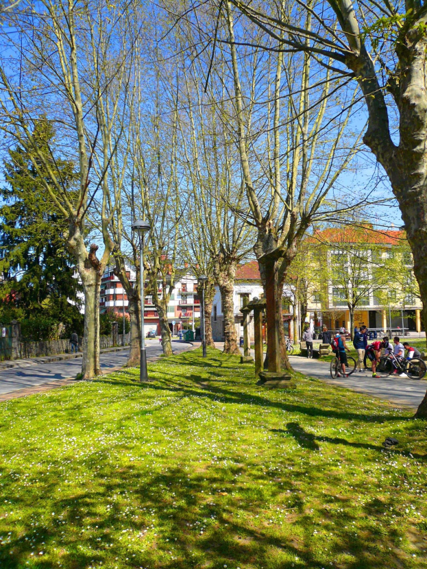 Ein Park mit grünem Gras und Bäumen, Menschen, die zu Fuß und mit dem Fahrrad auf einer Straße unterwegs sind, mit Gebäuden und einem klaren blauen Himmel im Hintergrund.