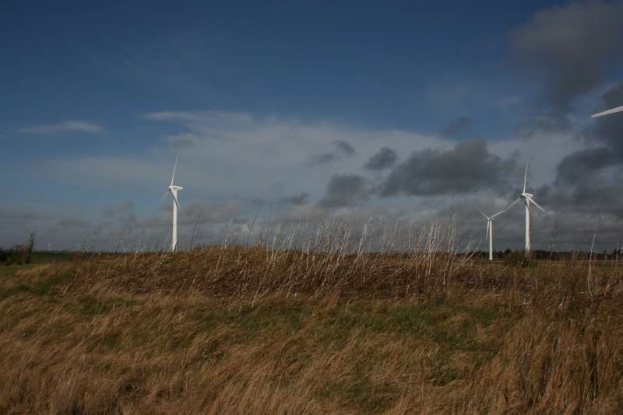 Luftaufnahme mehrerer Windräder auf einer Wiese mit Bäumen und Wolken im Hintergrund, wahrscheinlich Teil eines Windparks in den Niederlanden.